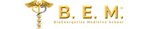 B.E.M. School